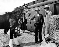 Champion Racehorse SEABISCUIT and Tom Smith Glossy 8x10 Photo Horse Print picture