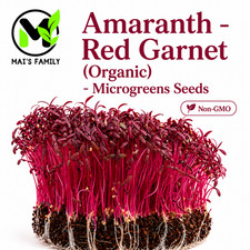 Organic Red Garnet Amaranth Microgreen Seeds Heirloom Non-GMO picture