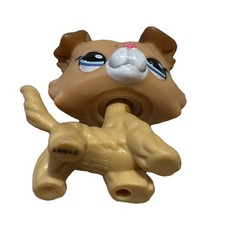 Littlest Pet Shop 2452 LPS Authentic Blind Bag Yellow Collie Dog Blue Eyes picture