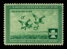 US 1937  Scaup DUCKS Taking to Flight  $1.00  green  Scott # RW4  mint MH picture