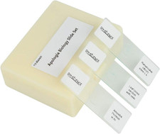 Prepared Microscope Slides Set for Apologia Biology, Pack of 16Pcs Specimens picture
