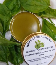 Organic Plantain Broad Leaf Salve-Bug Bites-Itchy Skin-Rashes Very Potent 56g. picture