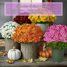 Artificial Sunset Mums 5 Bundles Pink Fall Flowers Outdoor UV Resistant Decor picture