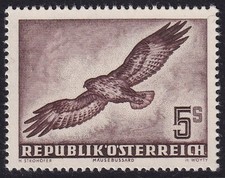 AUSTRIA 1950-53 Air Birds 5s Common Buzzard SG 1219 MNH/** (CV £190) picture