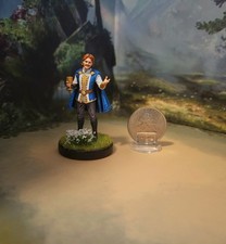 Custom Dungeons & Dragons Painted Royal Duke Miniature D&D DnD picture