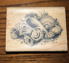 SEASHELL CLUSTER Inkadinkado Rubber Stamp ZP27 picture
