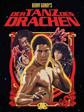 Berry Gordy's The Last Dragon Martial Arts Retro Movie Poster picture