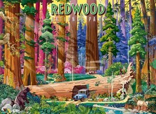 Ravensburger Redwood National Park 500 Piece Puzzle for Adults picture
