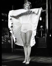 Marilyn Monroe's Legs Photo Print Poster picture