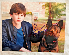 Vintage Josh Wiggins signed 8x10 Max picture
