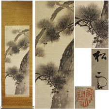 Vintage Original Japanese Hanging Scroll Ancient Pine Tree Ink Silk Art Box Zen picture