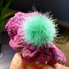 50-80G Rare Indian Dandelion Zeolite Quartz Healing Crystal Mineral Rock Gifts picture