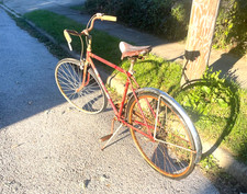 old antique vintage schwinn bike picture
