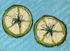 ACEO Original Acrylic Lime Fruit Slices Pastel Art by Bri Sander 3.5 x 2.5