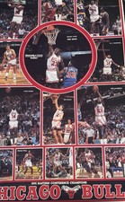 1991 Chicago Bulls Michael Jordan MVP Poster 37” Starline NBA Finals Team Chevy picture