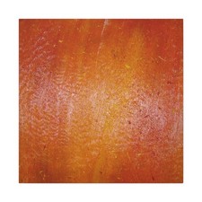Rust Orange Abstract Texture Canvas picture