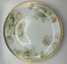 Antique O&EG Royal Austria Porcelain Plate White Snowball Hydrangea Gold Rim picture