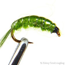 1 Dozen (12) Scud Olive - fishing fly, nymph, trout fly picture