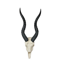 Blackbuck Indian antelope skulls Man Cave Taxidermy faux replica Interior Design picture