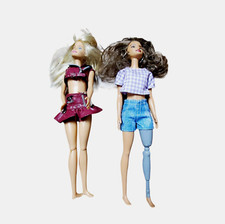 Lot of 2 Mattel's 2013-2014 Barbie Dolls Fashionistas & Amputee Hispanic Doll picture