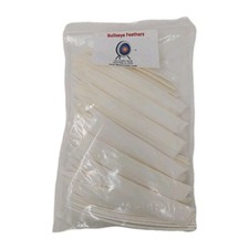 100pk Bullseye Archery Feathers 5