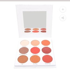 NIB #Give Them Lala Beauty on Bravo The Grown Woman Matte & Foiled Eyeshadows picture