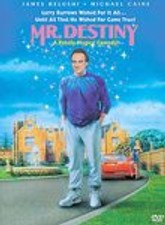 Mr. Destiny picture