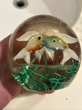 Beautiful Fratelli Toso Aquarium Iridescent Fish & Seaweed Glass 4.5”Paperweight picture