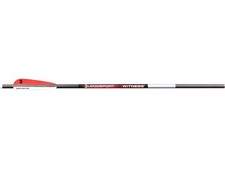 Bloodsport Witness 20 Crossbow Arrows 6 Pack Carbon Hunting Arrows Black picture