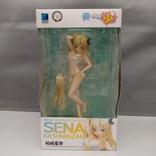 I Don't Have Many Friends Model Number BEACH QUEENS Seina Kashiwazaki WAVE picture