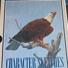 Character Sketches scriptures Illustrated Hardcover Christianity Nature picture
