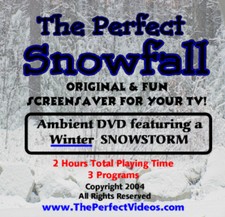 The Perfect Snowfall Snow DVD Winter SNOWSTORM Video Blowing Snow Scenes Snowing picture