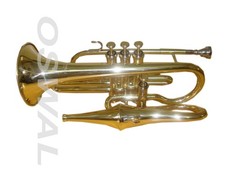 BRAND NEW BRASS FINISHBb 4 VALVES ECHO CORNET+FREE HARD CASE+MOUTHPIECE+MUTE picture