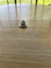 Trapiche Emerald ~2.20ct ~  Muzo Colombia picture