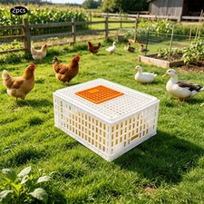 2 pcs Plastic Poultry Transport Box for chickens, ducks, Pigeons, Quails 110lbs picture