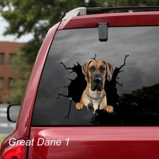 LARGE-SIZED CAR DECALS - GREAT DANE - 3 CHOICES picture