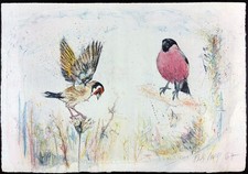 Fritz Rudolf Hug Hand Signed Lithograph Birds 1967 Muster Unverkäuflich picture