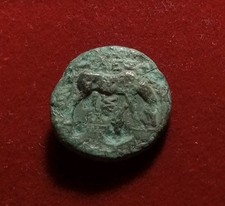 Troas, Alexandria Troas Æ16 Laureate head of Apollo to right / Horse grazing picture
