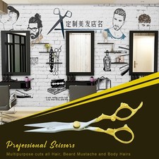 Premium 6