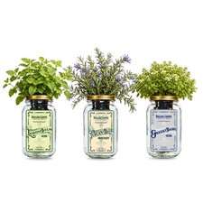 Chef Herb Garden Mason Jar Kit 3 Pack Rosemary Greek Basil Lemon Balm Grow Kit picture