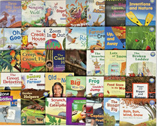 1st GRADE READERS Homeschool Reading Books Fountas & Pinnell - Lot of 35 picture