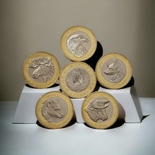 Belarus 2 rubles 2023 Set Animals on the Emblems of Belarus 5 coins picture