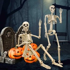 2Pack 5.4ft Halloween Skeleton Full Body Life Size Skeleton Bones Movable Joints picture