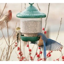 CLINGERS ONLY BIRD FEEDER -GREEN- Songbird Essentials EASY FILL EASY CLEAN NEW picture