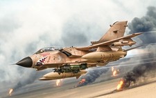 Italeri 2521 1:32 Tornado GR.1 Desert Storm Fighter Aircraft Plastic Model Kit picture