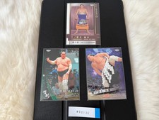 BBM Sumo Terunofuji Card Set Nagomi Hibiki 73rd Yokozuna Japanese Wrestling 0136 picture