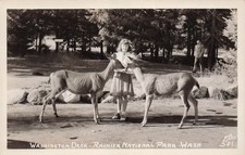 RPPC Mt Rainier National Park Washington Girl Deer Cute Animal Photo Postcard 4A picture