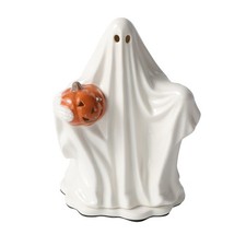 Halloween Ceramic Electric Plug-in Wax Melt Warmer with Farm Pumpkin Wax Melts picture