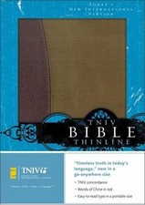 TNIV Thinline Bible: Burgundy/Pecan European Leather (Today's New... picture