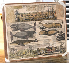 Antique, 18th-century hand-colored whaling engraving by the Hormann Heirs picture